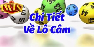 Tìm Hiểu Chi Tiết Lô Câm Và Cách Chơi Chính Xác Nhất